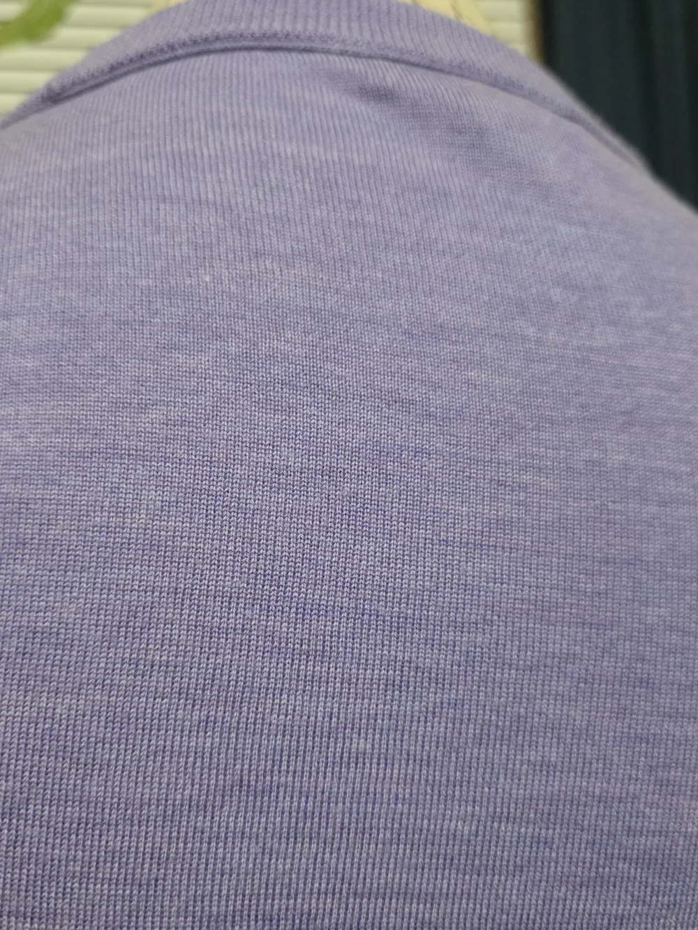 J. Crew Lavender Crewneck Merino Wool Sweater